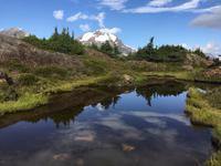 Alaska pur &ndash; &copy; Elisabeth Fox-Maerki (Eberhardt TRAVEL)