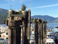 urchiger Hafen &ndash; &copy; Elisabeth Fox-Maerki (Eberhardt TRAVEL)