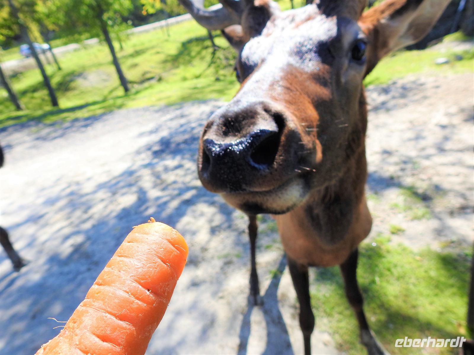 Omega Wildlife Park &ndash; &copy; Sabine Letzybyll (Eberhardt TRAVEL)