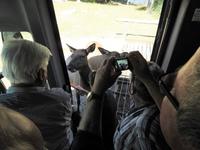 Omega Wildlife Park &ndash; &copy; Sabine Letzybyll (Eberhardt TRAVEL)