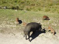 Omega Wildlife Park &ndash; &copy; Sabine Letzybyll (Eberhardt TRAVEL)