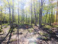 Omega Wildlife Park &ndash; &copy; Sabine Letzybyll (Eberhardt TRAVEL)
