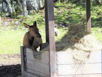 Omega Wildlife Park &ndash; &copy; Sabine Letzybyll (Eberhardt TRAVEL)