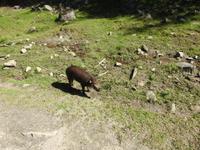 Omega Wildlife Park &ndash; &copy; Sabine Letzybyll (Eberhardt TRAVEL)