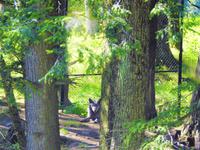 Omega Wildlife Park &ndash; &copy; Sabine Letzybyll (Eberhardt TRAVEL)