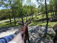 Omega Wildlife Park &ndash; &copy; Sabine Letzybyll (Eberhardt TRAVEL)