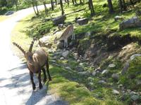 Omega Wildlife Park &ndash; &copy; Sabine Letzybyll (Eberhardt TRAVEL)