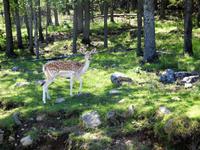 Omega Wildlife Park &ndash; &copy; Sabine Letzybyll (Eberhardt TRAVEL)