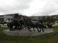 Calgary &ndash; &copy; Sabine Letzybyll (Eberhardt TRAVEL)