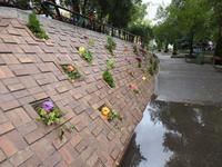 Calgary &ndash; &copy; Sabine Letzybyll (Eberhardt TRAVEL)