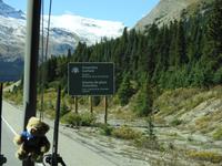 Columbia Icefield &ndash; &copy; Sabine Letzybyll (Eberhardt TRAVEL)