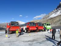 Gletscherbusse &ndash; &copy; Sabine Letzybyll (Eberhardt TRAVEL)