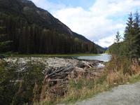 Treibholz &ndash; &copy; Sabine Letzybyll (Eberhardt TRAVEL)