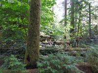 Naturlehrpfad &ndash; &copy; Sabine Letzybyll (Eberhardt TRAVEL)