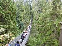 Capilano Suspension Brücke &ndash; &copy; Sabine Letzybyll (Eberhardt TRAVEL)