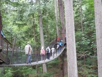 Capilano Suspension Brücke &ndash; &copy; Sabine Letzybyll (Eberhardt TRAVEL)