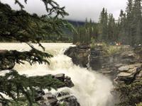 Athabasca Falls