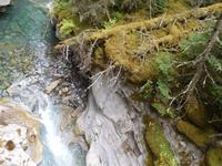 im Johnston Canyon