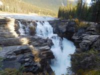 Athabaska Wasserfall &ndash; &copy; Laura Schwanitz (Eberhardt TRAVEL)