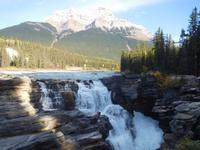 Athabaska Wasserfall &ndash; &copy; Laura Schwanitz (Eberhardt TRAVEL)