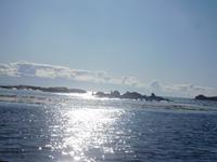 Whale-Watching in Victoria &ndash; &copy; Laura Schwanitz (Eberhardt TRAVEL)