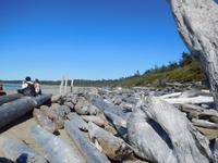 Picknick am Meer &ndash; &copy; Laura Schwanitz (Eberhardt TRAVEL)