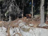 Omega Wildpark &ndash; &copy; Philip Seidel (Eberhardt TRAVEL)