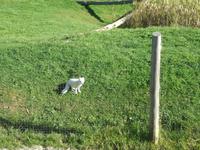 Omega Wildpark &ndash; &copy; Philip Seidel (Eberhardt TRAVEL)