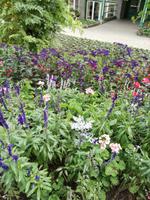 Butchart Gardens &ndash; &copy; Philip Seidel (Eberhardt TRAVEL)