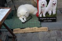 Bester Job :-)  &ndash; &copy; Madlen Lohr (Eberhardt TRAVEL)