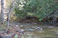 Manitoulin Island &ndash; &copy; Madlen Lohr (Eberhardt TRAVEL)