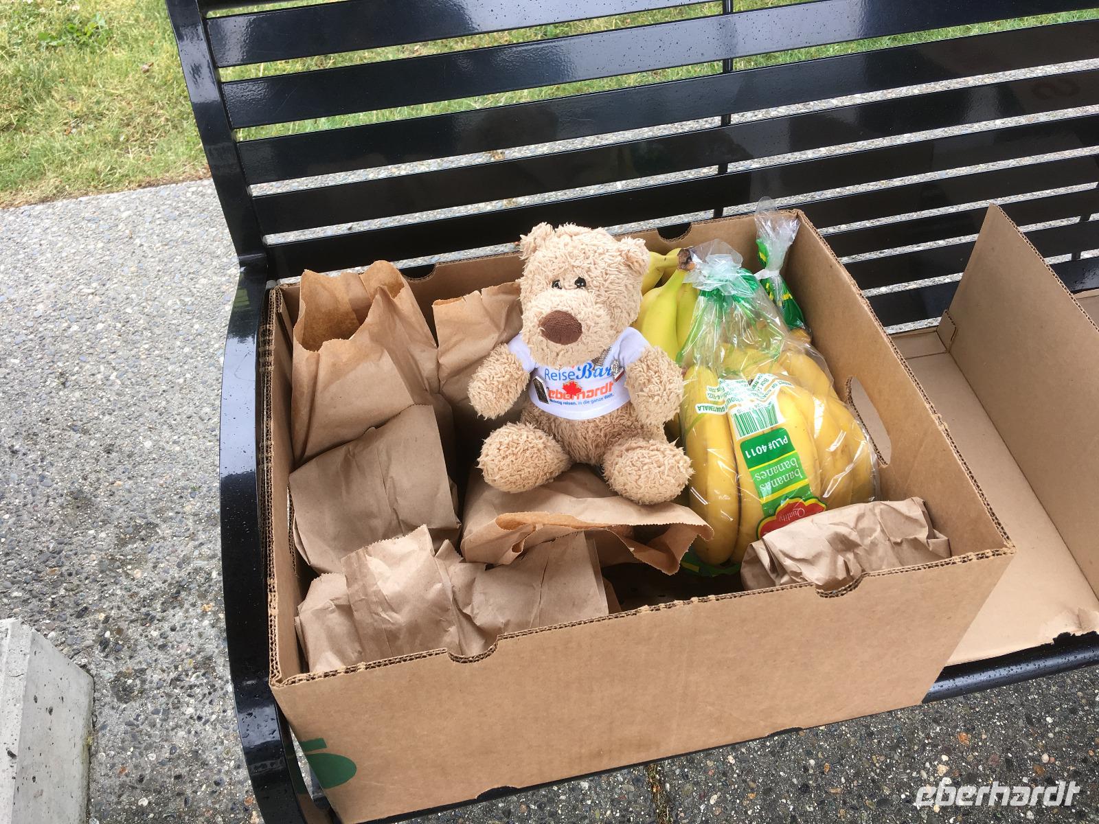 Picknick in Hope (Hoffnung auf besseres Wetter!) - Mein Reisebär bewacht den Proviant &ndash; &copy; Andreas Wolfsteller (Eberhardt TRAVEL)