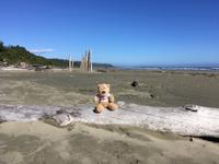 Pacific Rim National Park - Long Beach &ndash; &copy; Andreas Wolfsteller (Eberhardt TRAVEL)