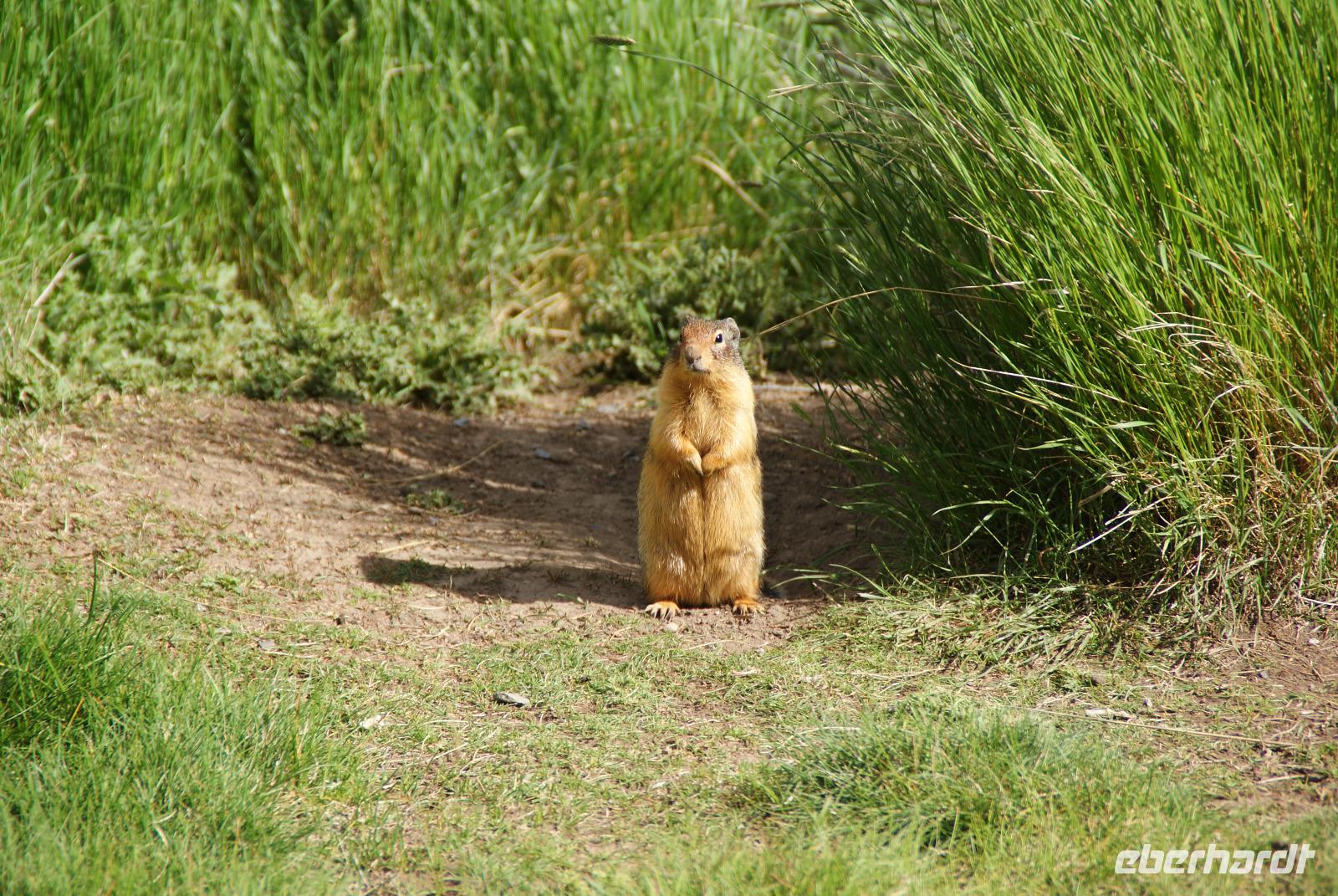 was guckst du? &ndash; &copy; Susanne Schirmann (Eberhardt TRAVEL)