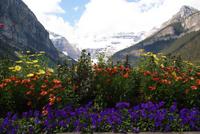 Lake Louise &ndash; &copy; Susanne Schirmann (Eberhardt TRAVEL)