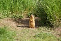 was guckst du? &ndash; &copy; Susanne Schirmann (Eberhardt TRAVEL)