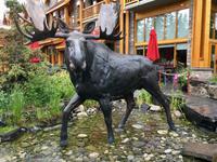 das eiserne Moose &ndash; &copy; Elisabeth Fox-Maerki (Eberhardt TRAVEL)