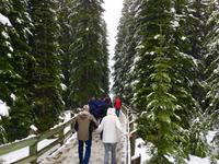 Winterspaziergang im Juli &ndash; &copy; Elisabeth Fox-Maerki (Eberhardt TRAVEL)