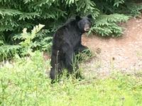 Hello there !  &ndash; &copy; Elisabeth Fox-Maerki (Eberhardt TRAVEL)