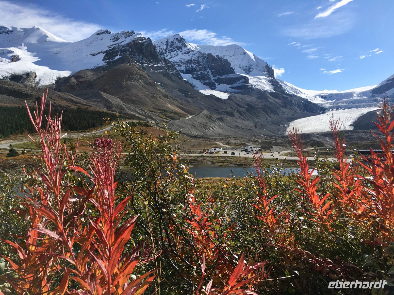 Athabasca Gletscher mit Eisfaelle &ndash; &copy; Elisabeth Fox-Maerki (Eberhardt TRAVEL)
