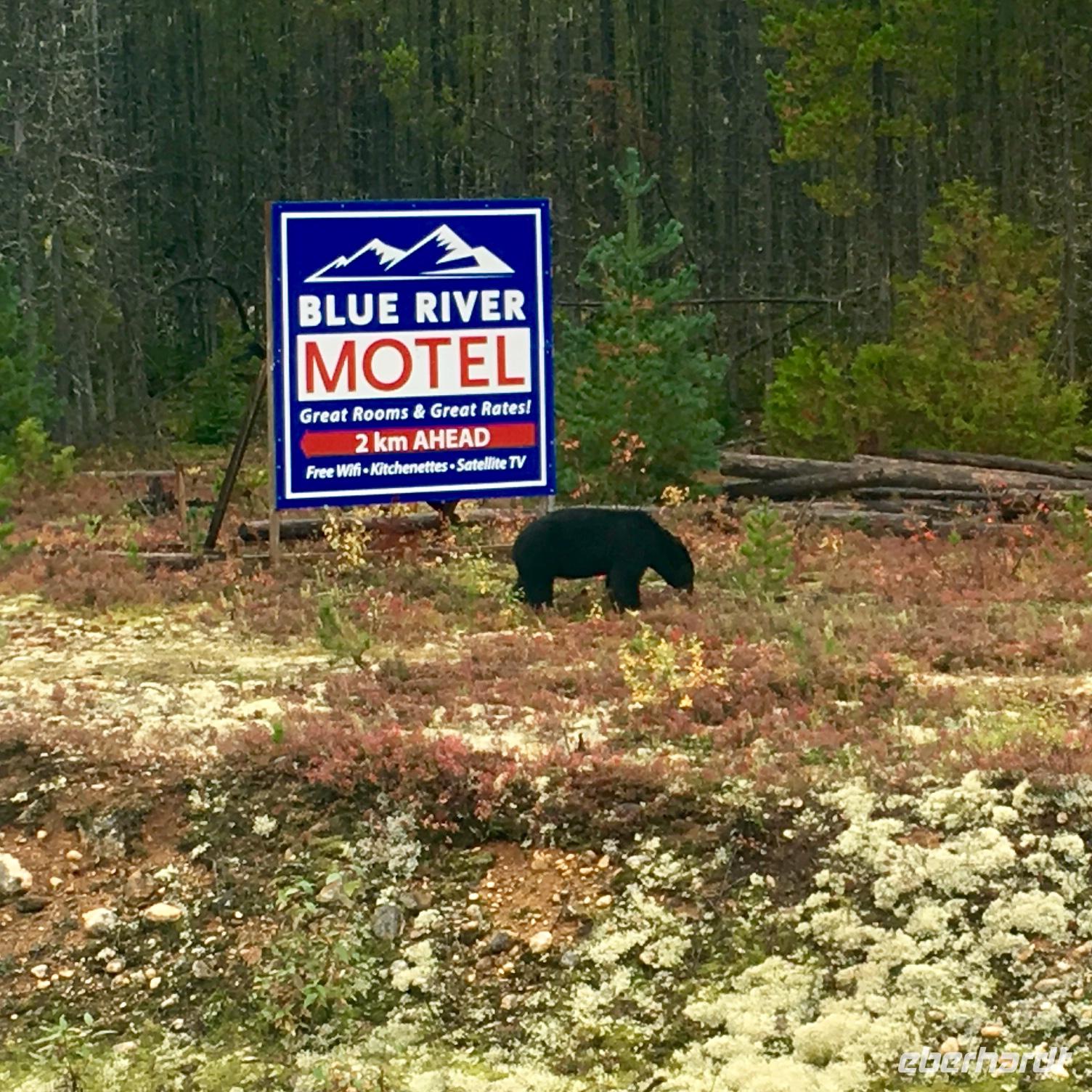 no comment &ndash; &copy; Elisabeth Fox-Maerki (Eberhardt TRAVEL)