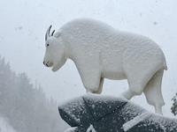 Mount Robson Provincial Park &ndash; &copy; Elisabeth Fox-Maerki (Eberhardt TRAVEL)