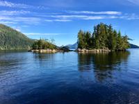 Inselchen vor Tofino &ndash; &copy; Elisabeth Fox-Maerki (Eberhardt TRAVEL)