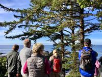 drueben ist Japan !  &ndash; &copy; Elisabeth Fox-Maerki (Eberhardt TRAVEL)