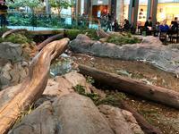 im Flughafen YVR &ndash; &copy; Elisabeth Fox-Maerki (Eberhardt TRAVEL)
