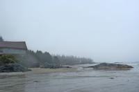 Wickaninnish Beach