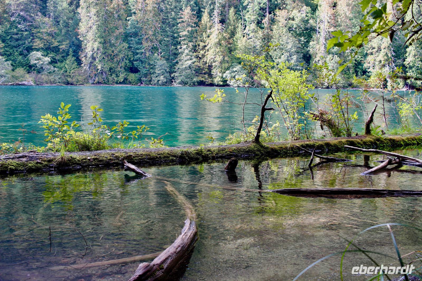 243. MacMillan Provincial-Park &ndash; &copy; Marianne Förster (Eberhardt TRAVEL)
