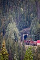 59. Spiral Tunnels &ndash; &copy; Marianne Förster (Eberhardt TRAVEL)