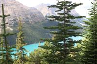 79. Peyto Lake &ndash; &copy; Marianne Förster (Eberhardt TRAVEL)