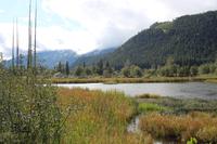 158. Wells Gray Provincial Park &ndash; &copy; Marianne Förster (Eberhardt TRAVEL)